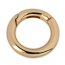 Karabiner-Ring - Durchmesser 18 mm - gold