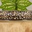 Falzgummi / Einfassband - 25  mm breit - Leopard - beige braun