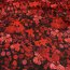 Polyester-Krepp Blumen rot auf dunklem Navy (St&uuml;ck = 2,5 Meter ) *Made in Italy*