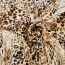 Rest = 0,70 m* Premium-Viskose-Satin - Leoprint - beige/braun/schwarz *Made in Italy*